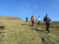 March Walk