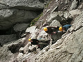 Anglesey Adventure Weekend