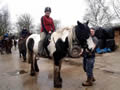 Horse Riding
