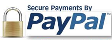 Secure payments by PayPal logo