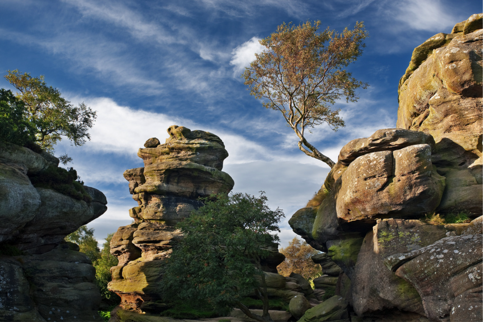 Бримхемские скалы, Северный Йоркшир, Англия. Скала-идол в Бримхэм Рокс. Скалы. Необычные скалы. Современные скалы