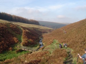 goyt 3