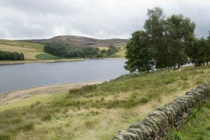 goyt4