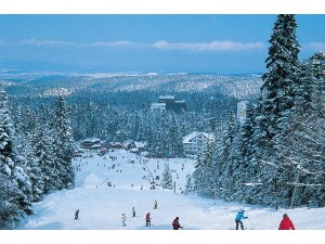ski