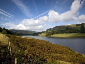 derwent